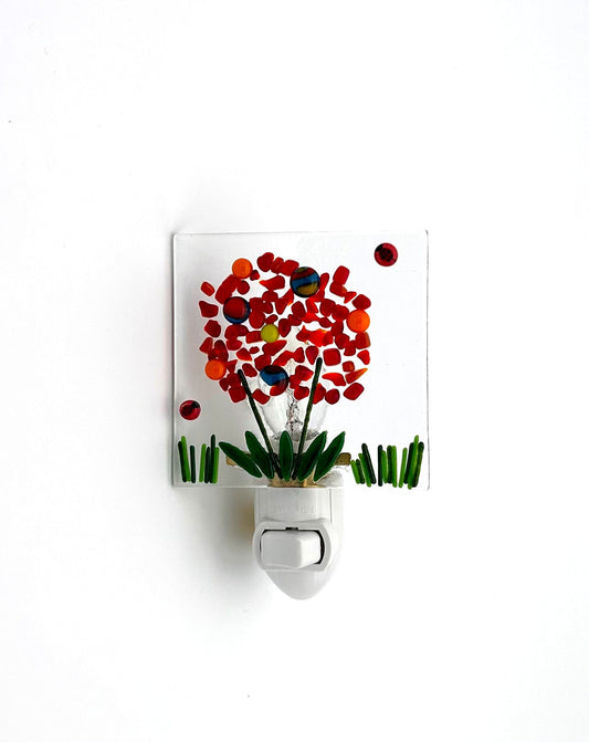Night Light Medium Red Orange Yellow Flowers